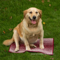 Super absorbent fiber chenille pet bath towel